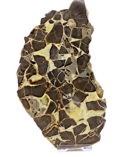 Septarian natural crystal - natural,