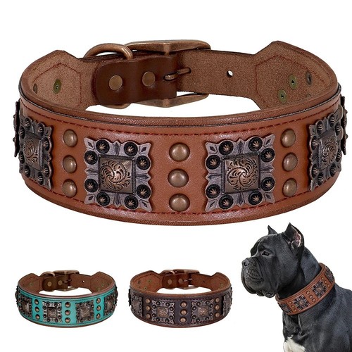 Wide luxury leather - luxury,
