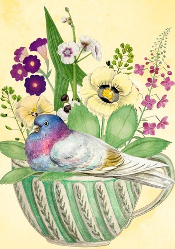 Pigeon teacup art blank - pigeon,