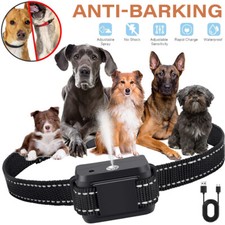 Stop Barking Citronella Dog