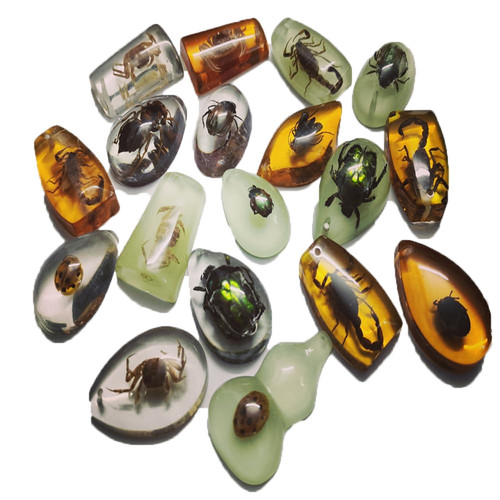 Pcs insect amber fossils - insect,