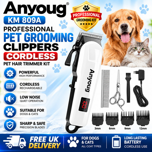 Anyoug 809a professional - anyoug,