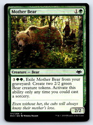 Mother bear 171 common - bear,