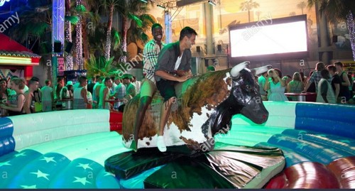 Rodeo bull ride hire - , bucking