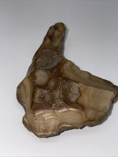 Prehistoric boot shape scraper - prehistoric,