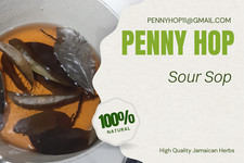 NATURAL SOURSOP TREE DRIED