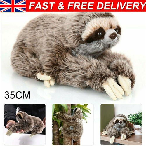 Three toed sloth plush toy - toed,