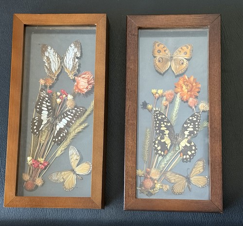 Pair vintage mcm butterfly - pair,