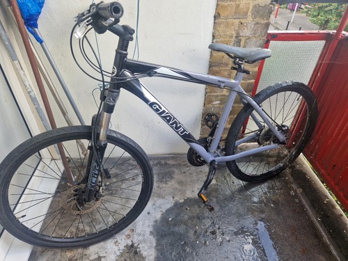 Giant mountain bike - giant,