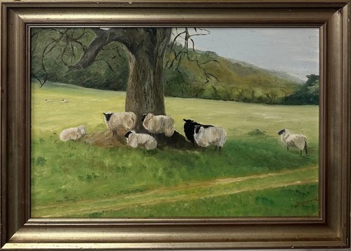 Jeanne marie hayward - hayward, sheep