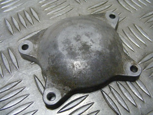 Z900 engine casing - z900,