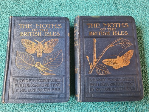 Wayside woodland the moths - woodland,