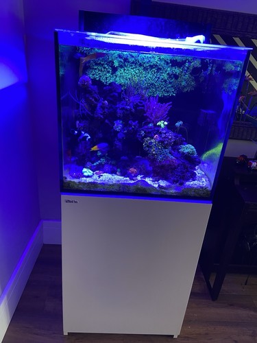Red sea max 170 complete - red, e-170