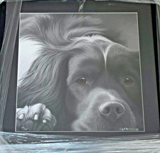 NIGEL HEMMING GICLEE LIMITED EDITION PRINT SPRINGER SPANIEL LARGER THAN LIFE