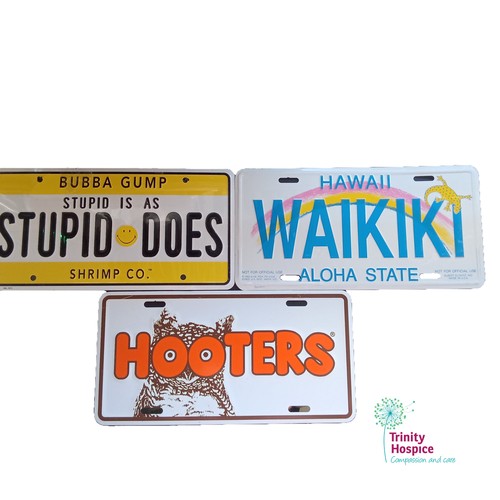 Novelty license plate set - license,