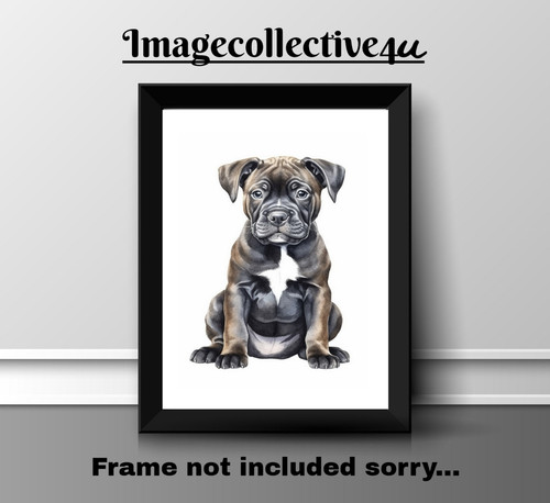 Stafforshire terrier print - stafforshire,