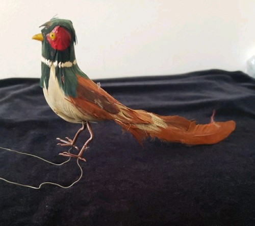 Vintage feathered pheasant - vintage,
