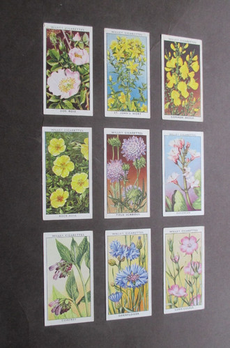 Wills vintage garden - wills's,