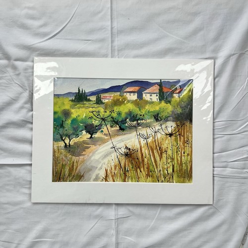 Olive trees landscape - olive,