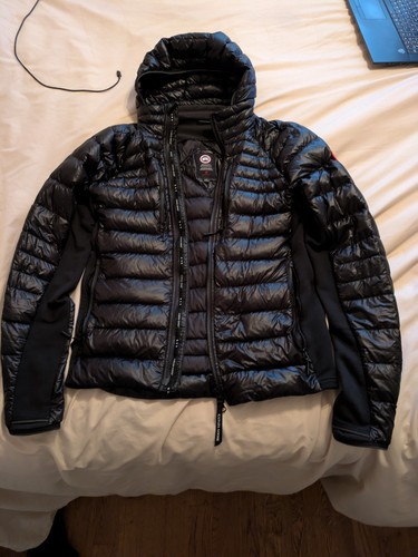 Canada goose hybridge - goose, lite