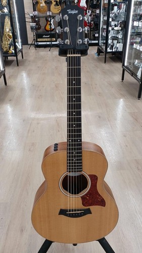 Taylor mini electric - gs, e