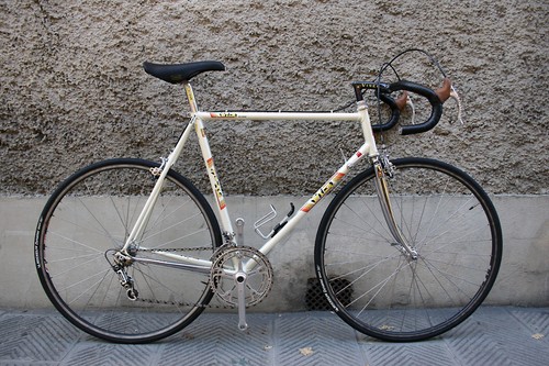 Viner stella campagnolo - stella,