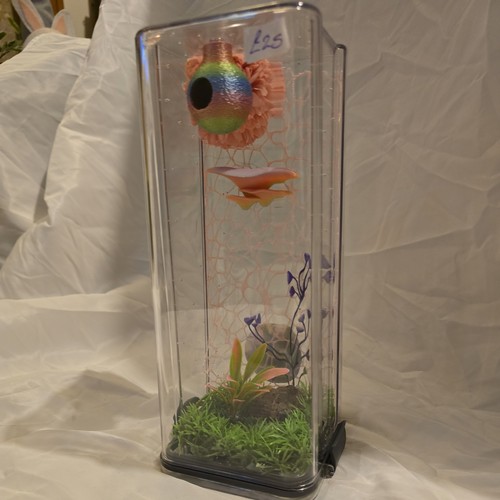 Jumping spider enclosure - spider,