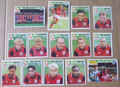 Nottingham forest merlin - nottingham,