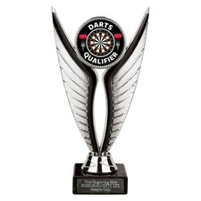 Darts Qualifier Award 195mm