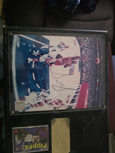 Scottie pippen autograph card - pippen,