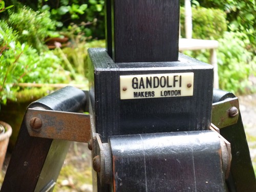 Antique gandolfi major - antique, "major"