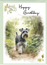 Miniature schnauzer dog - miniature,
