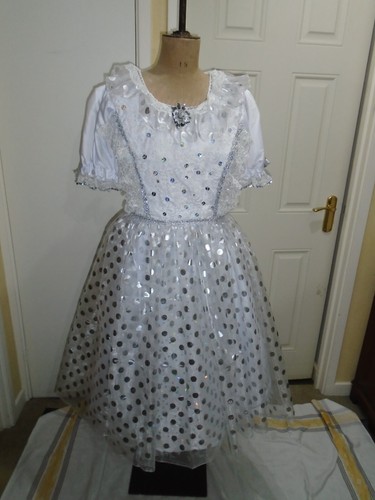 Fairy costume pantomime silver