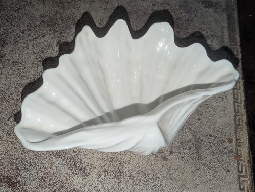 Wedgwood bone china nautilus - wedgwood,