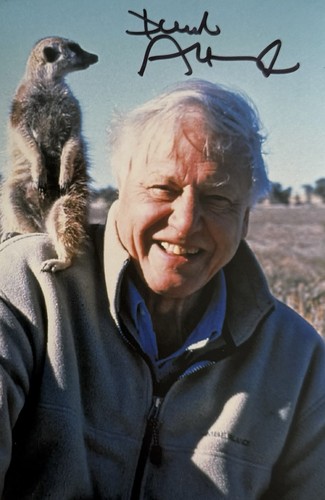 Genuine sir david attenborough - genuine,