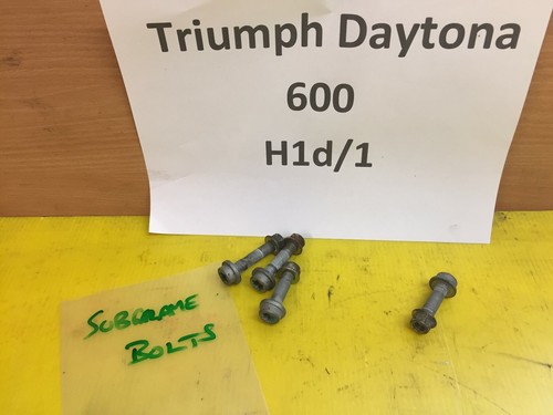 Triumph daytona 600 650 - triumph,