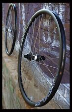 HANDBUILT - NEW DT Swiss 350 CL Disc  DT SWISS GR531 gravel Alpina Extralite