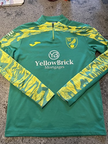 Norwich city green training - green,
