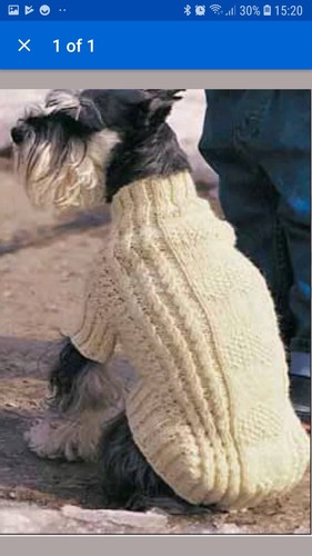 Cabled aran dog - aran, coat