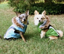 Dog Parka Puppy/cat very Small