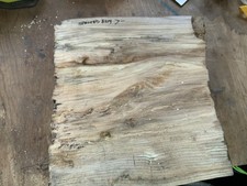 Spalted Elm Bowl Blank Wood