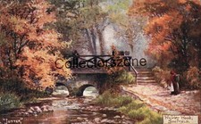 1918 Sheffield Whiteley Woods