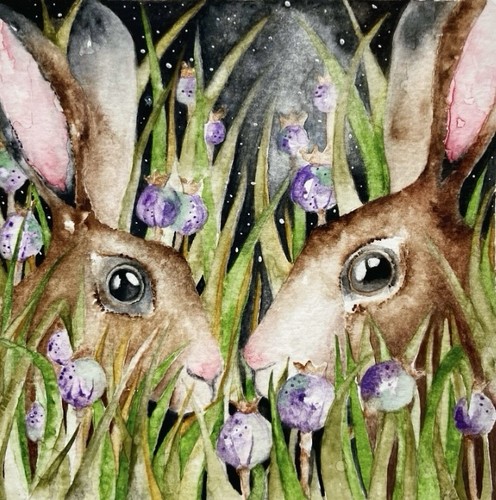 Hares rabbits poppyseed - rabbits, in