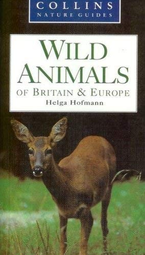 Wild animals britain - wild, of