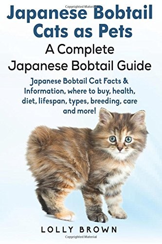 Japanese bobtail cats as - japanese,