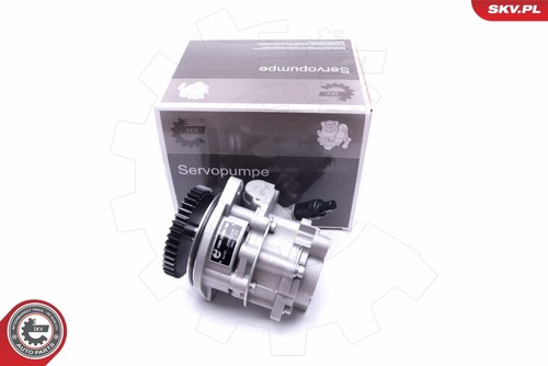 10skv289 esen skv - skv, hydraulic