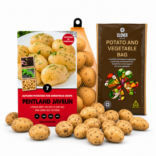Pentland javelin seed potatoes - pentland,