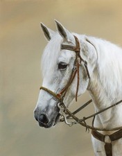 PAUL SHIERS ORIGINAL "Aspen" white grey horse horses pony equine OIL PAINTING