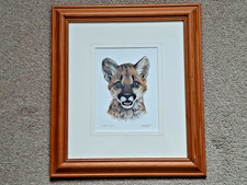 Carl Brenders 1995 Cougar Cub