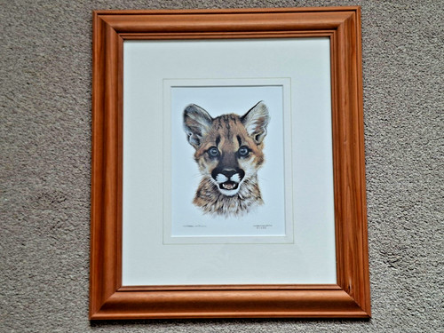 Carl brenders 1995 cougar - 1995,